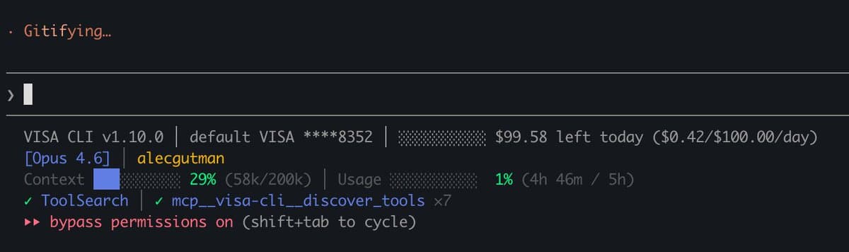 Visa CLI HUD showing live spend while Claude Code works